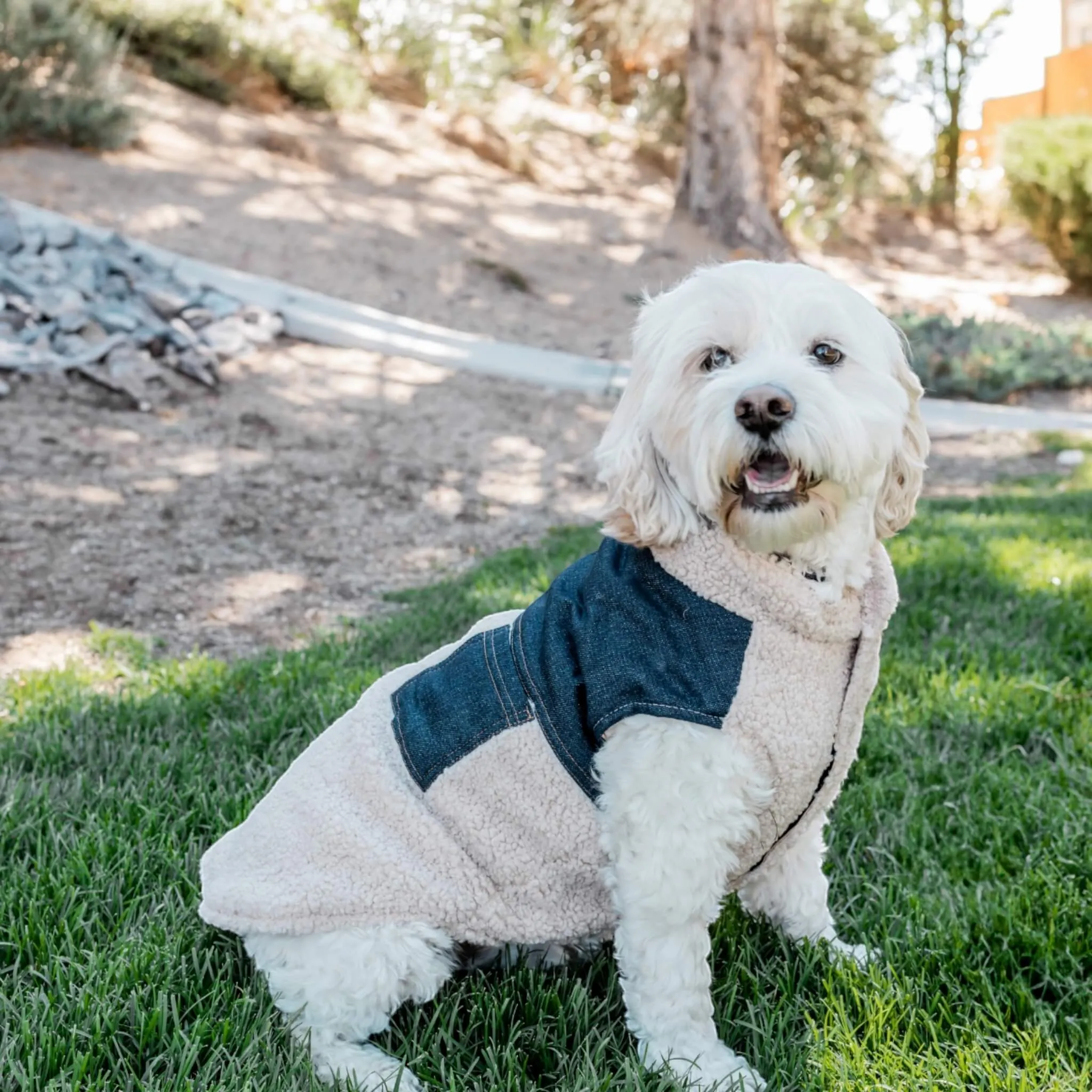 Cambridge Dog Coat