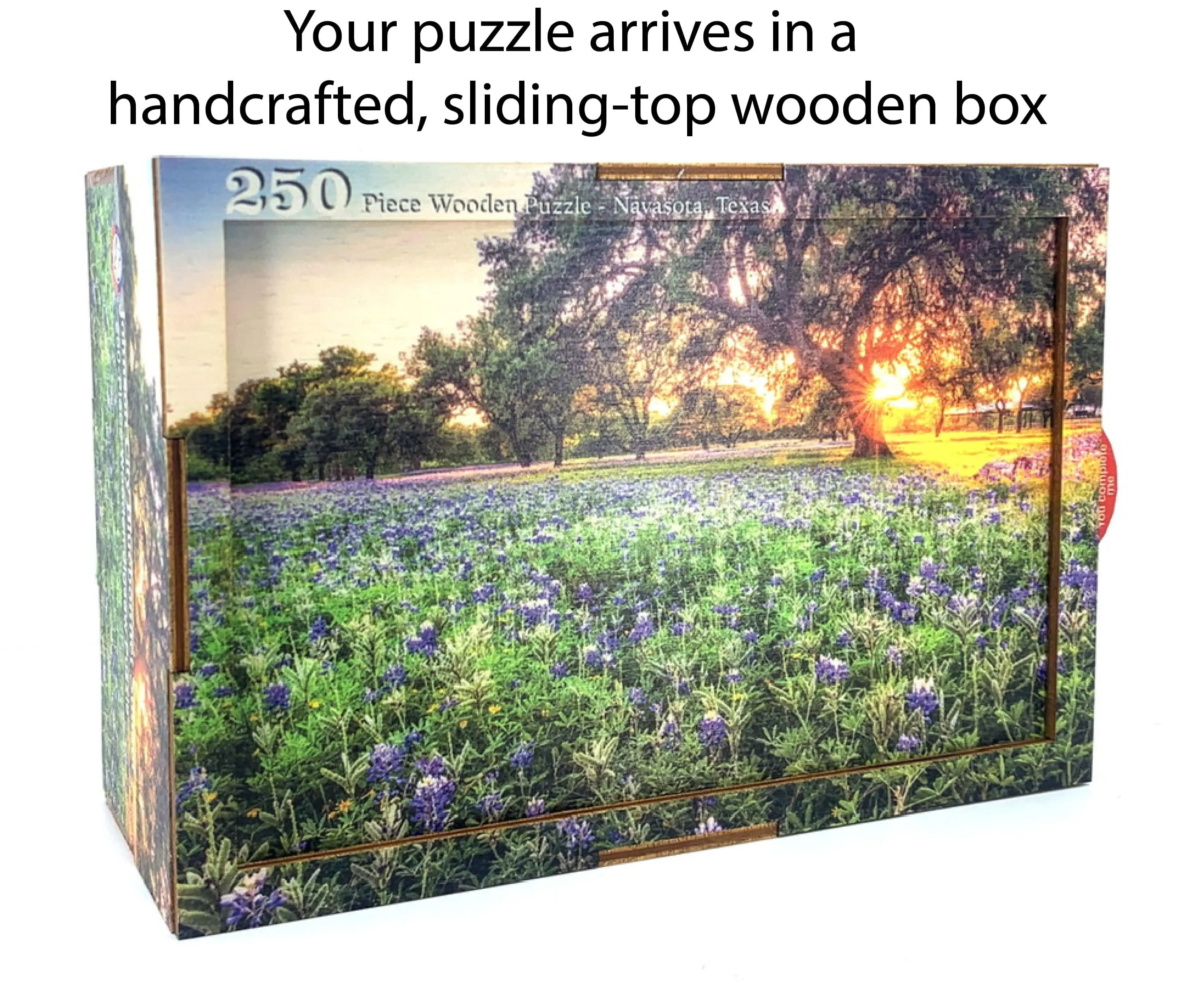 Cape Giraffe | South Africa Puzzle | 250, 500, 1000 Pieces