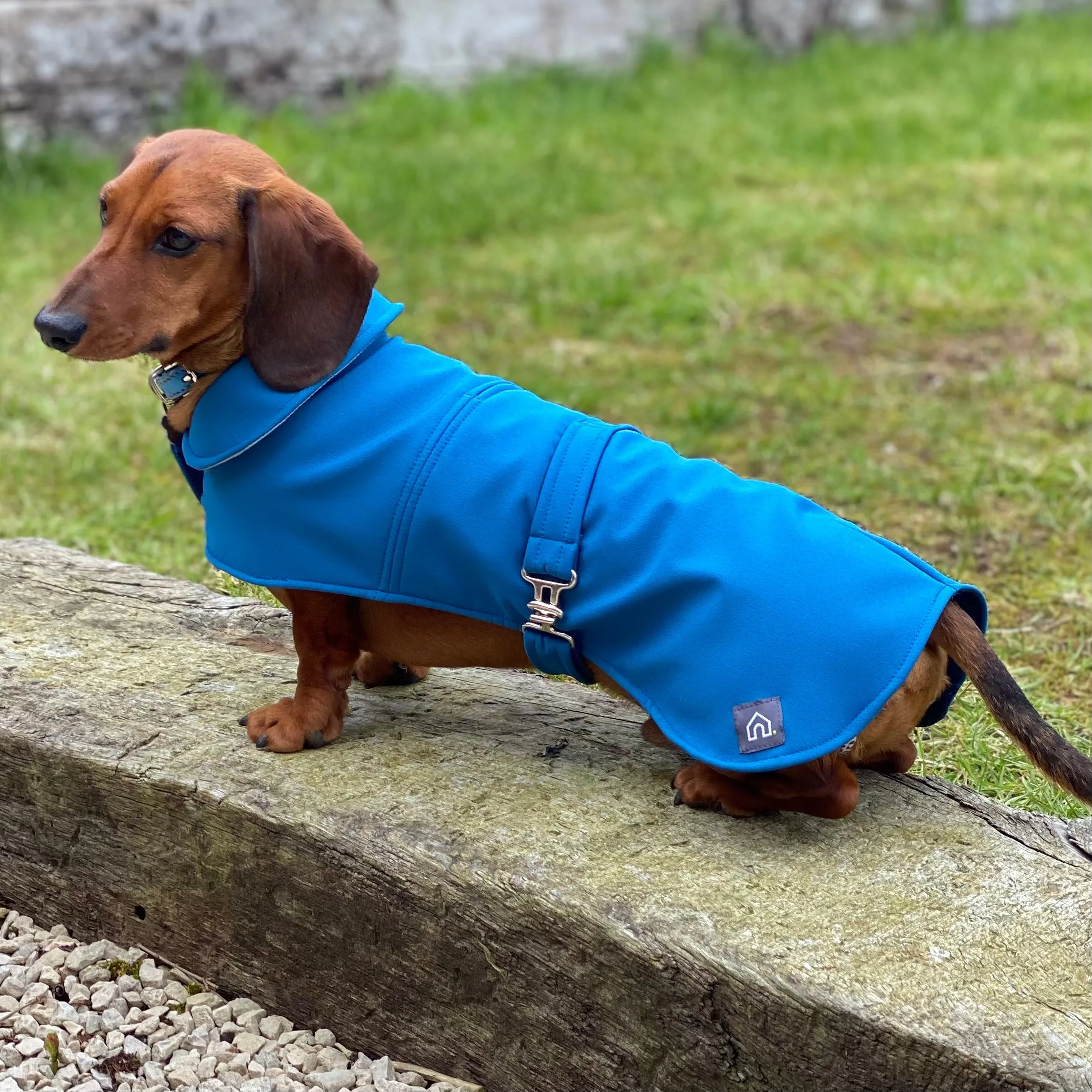 Dachshund Waterproof Coat