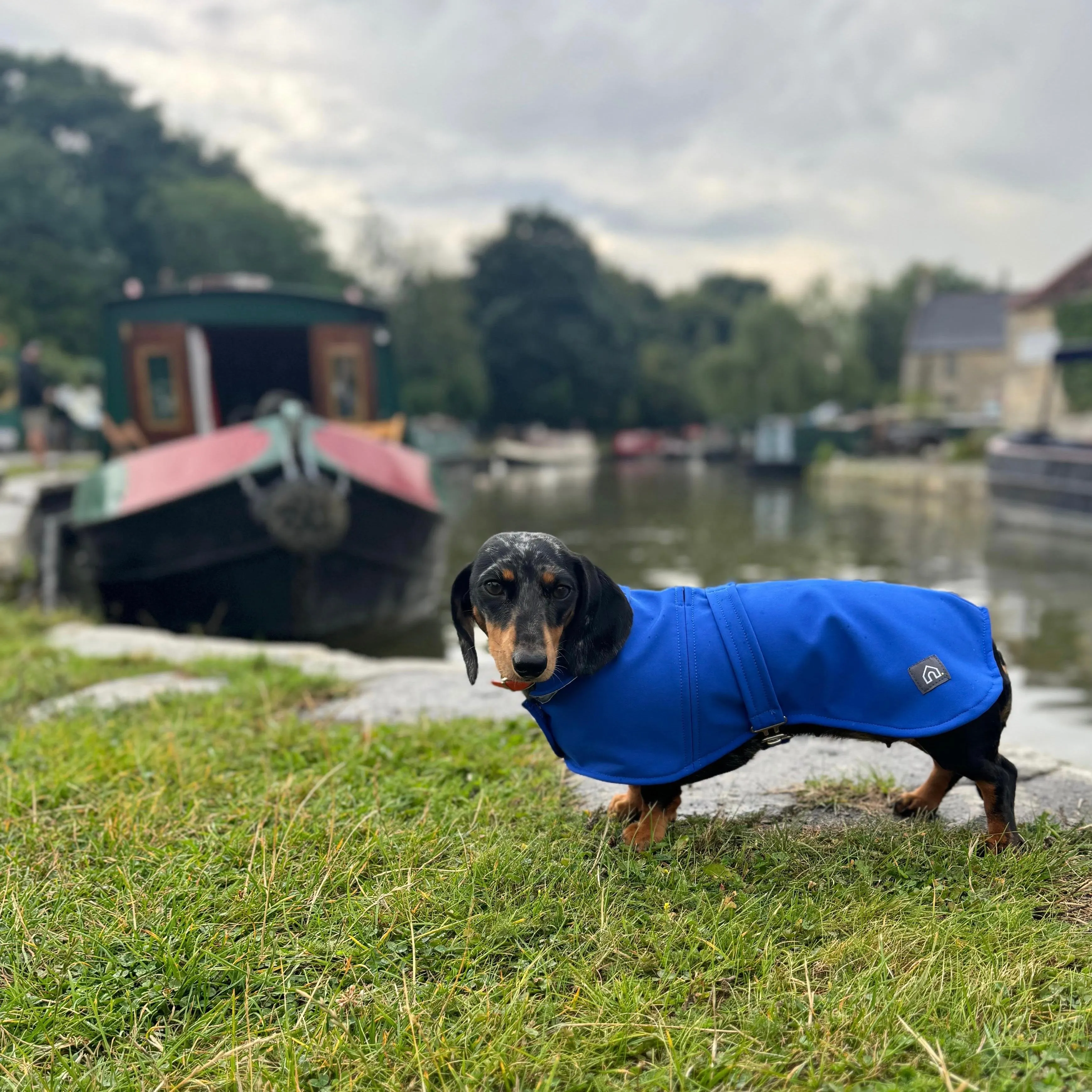 Dachshund Waterproof Coat