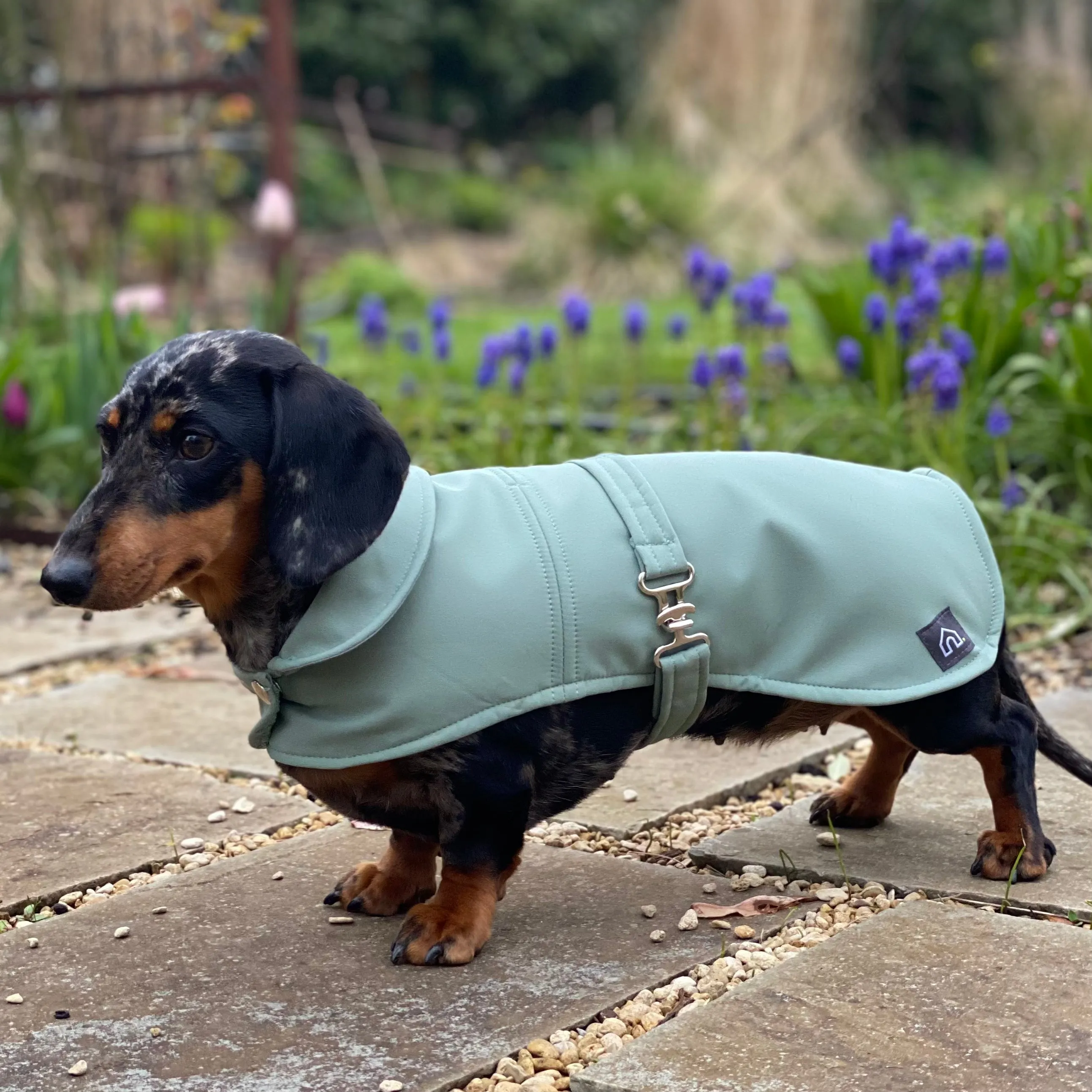 Dachshund Waterproof Coat