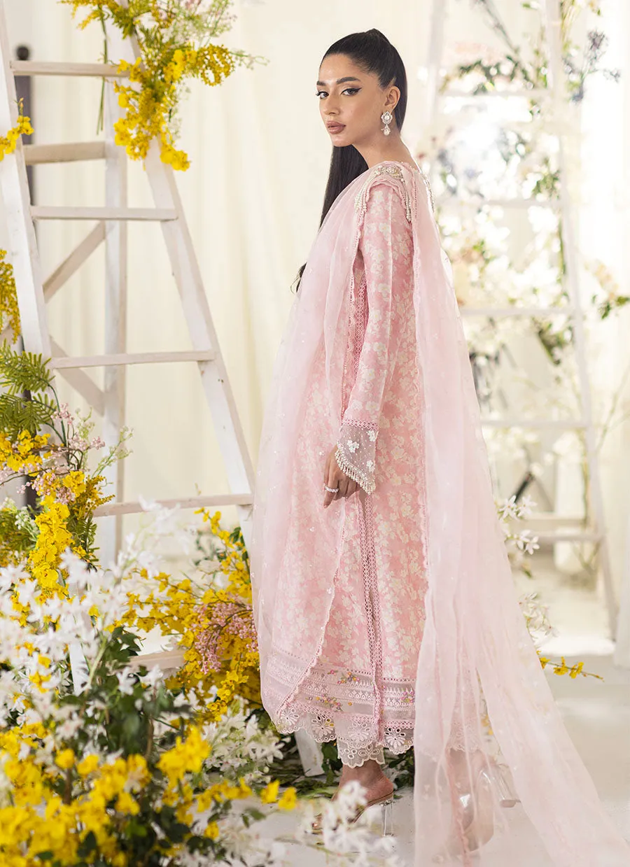 Olea Blush Silk Shirt And Pre-Draped Dupatta