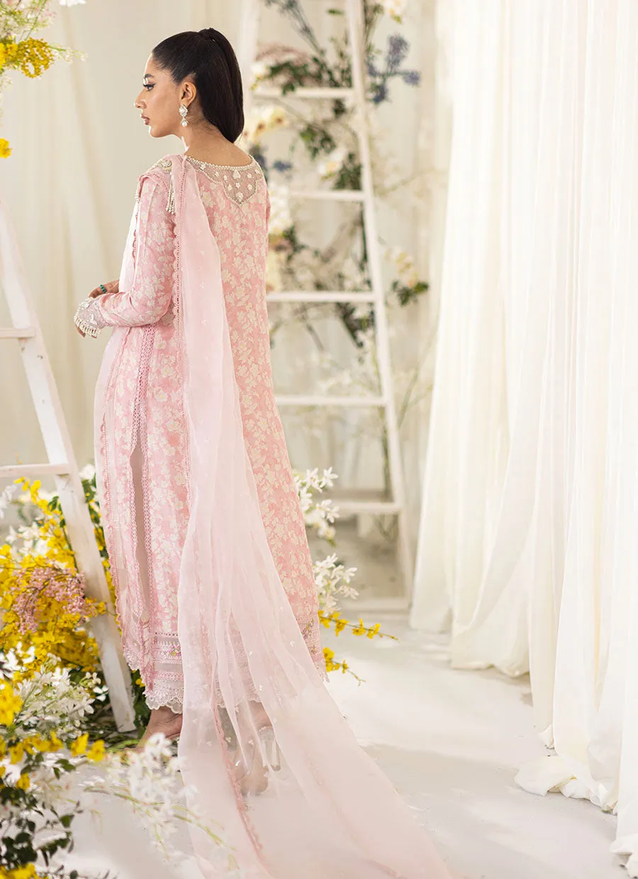 Olea Blush Silk Shirt And Pre-Draped Dupatta