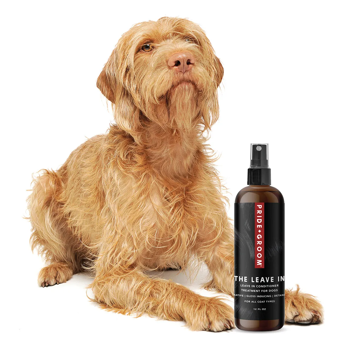 THE LEAVE IN Dog Conditioner