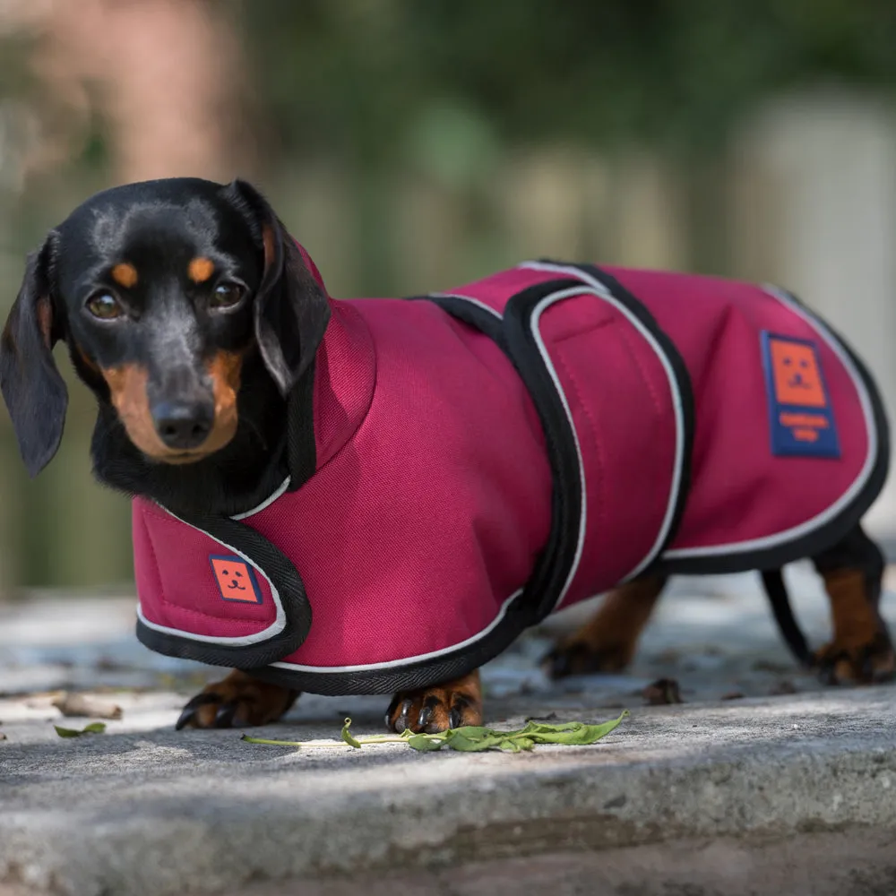 Waterproof Shower Dachshund Dog Coat with Warm Lining